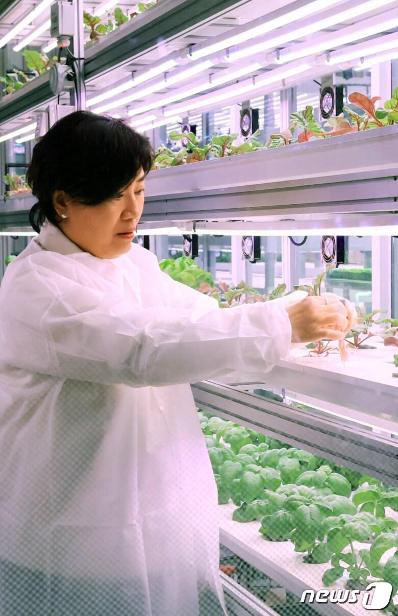 본문 이미지 - 송미령 농림축산식품부 장관이 15일 오후 서울 동작구 상도역에 마련된 수직농장시설 '메트로팜'을 둘러보고 있다. ‘메트로팜’은 지하철 역사 내 유휴공간을 활용해 수직농장을 구축, 엽채류 등 작물을 도심 속에서 재배하고 체험·교육 활동, 카페 등을 함께 운영하며 생산·유통·체험까지 복합적으로 연계한 비즈니스 모델이다. (농림축산식품부 제공) 2024.4.15/뉴스1