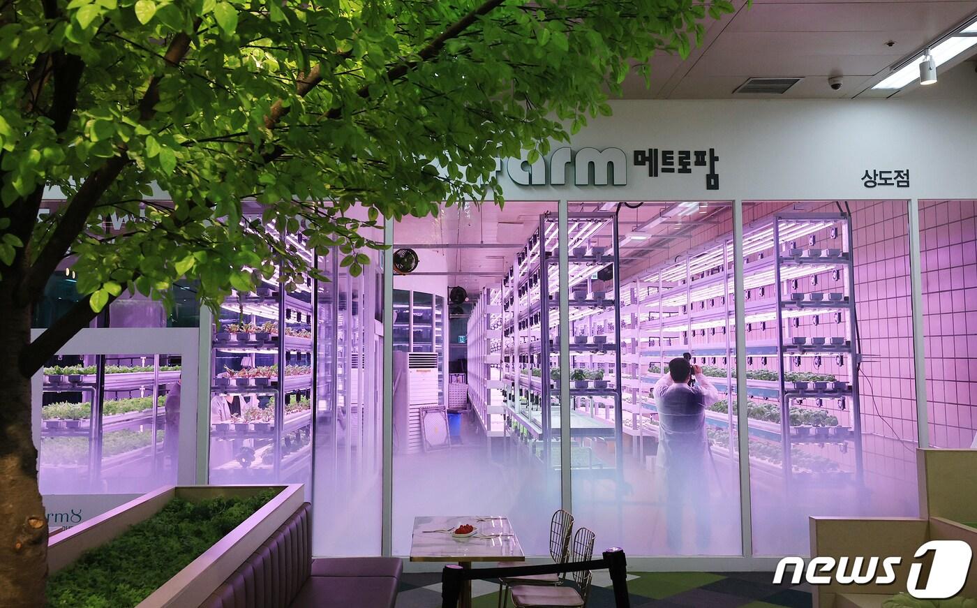 서울 동작구 상도역에 위치한 수직농장시설 '메트로팜'. (농림축산식품부 제공) 2024.4.15/뉴스1