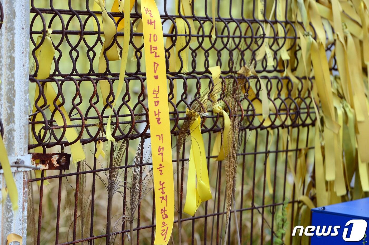 세월호 참사 10주기인 16일 오전 세월호 선체가 거치돼 있는 전남 목포시 달동 신항만에서 희생자를 추모하는 노란 리본이 바닷바람에 나부끼고 있다. 2024.4.16/뉴스1 ⓒ News1 이승현 기자