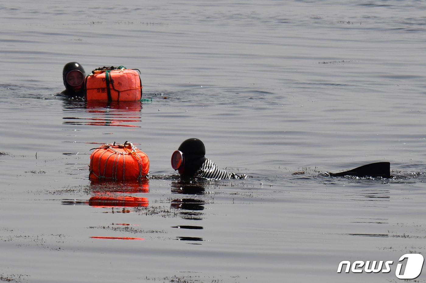 (사진은 기사 내용과 무관함) / 뉴스1 ⓒ News1