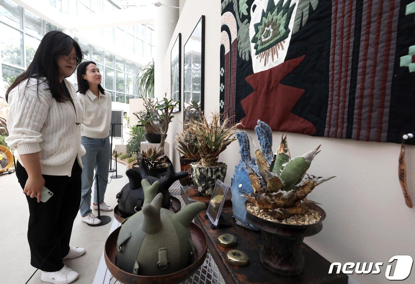 18일 세종시 국립세종수목원에서 진행중인 반려식물 기획전시 '넌 어느 별에서 왔니?'를 찾은 시민들이 독특한 모양의 괴근식물들을 관람하고 있다. 7월21일까지 진행되는 이번 전시는 생김새가 독특한 식물을 키우는 이들과 협업하여 괴근식물, 아가베, 박쥐란의 독특하면서도 흥미로운 이야기를 생생하게 접할수 있고, 실내 플랜테리어 공간에 대한 아이디어도 제공하게 된다. 2024.4.18/뉴스1 ⓒ News1 김기남 기자