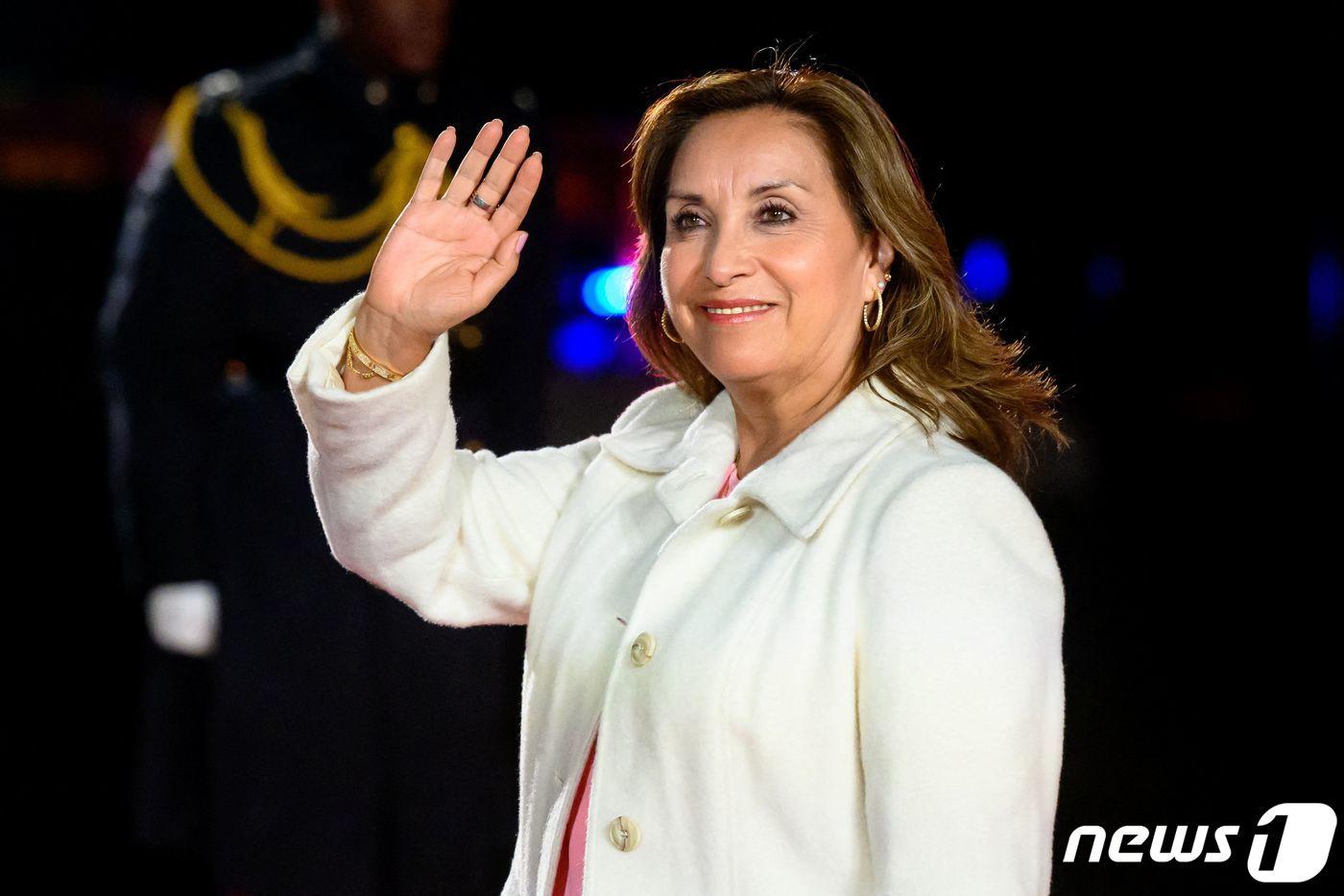 본문 이미지 - 디나 볼루아르테 페루 대통령ⓒ AFP=뉴스1