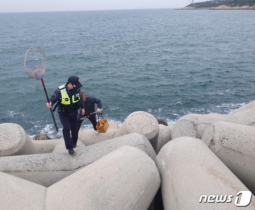 본문 이미지 - 군산해경이 갯벌체험 등 나들이객이 증가함에 따라 연안해역 통제구역 안전관리에 나선다.(군산해경 제공) 2024.4.20/뉴스1