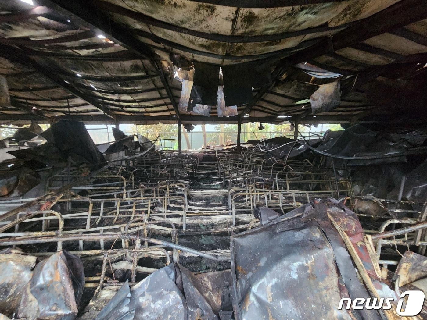 본문 이미지 - 화재가 발생한 제주시 한림읍 금악리의 한 양돈장.(제주특별자치도 소방안전본부 제공)