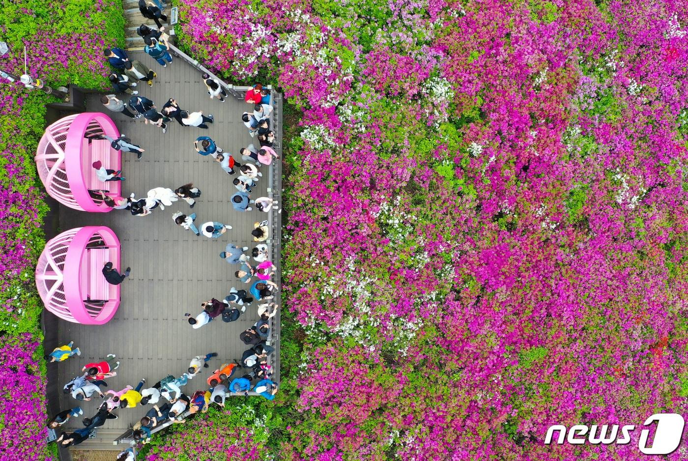 본문 이미지 - 21일 오후 경기도 군포시 철쭉동산에서 열린 2024 군포철쭉축제를 찾은 시민들이 즐거운 시간을 보내고 있다. 2024.4.21 ⓒ 뉴스1 이재명 기자