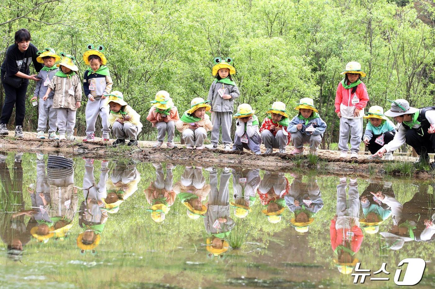 광주 북구 화암동 무등산 평두메습지를 찾은 어린이들.(광주 북구 제공)2024.4.22/뉴스1 
