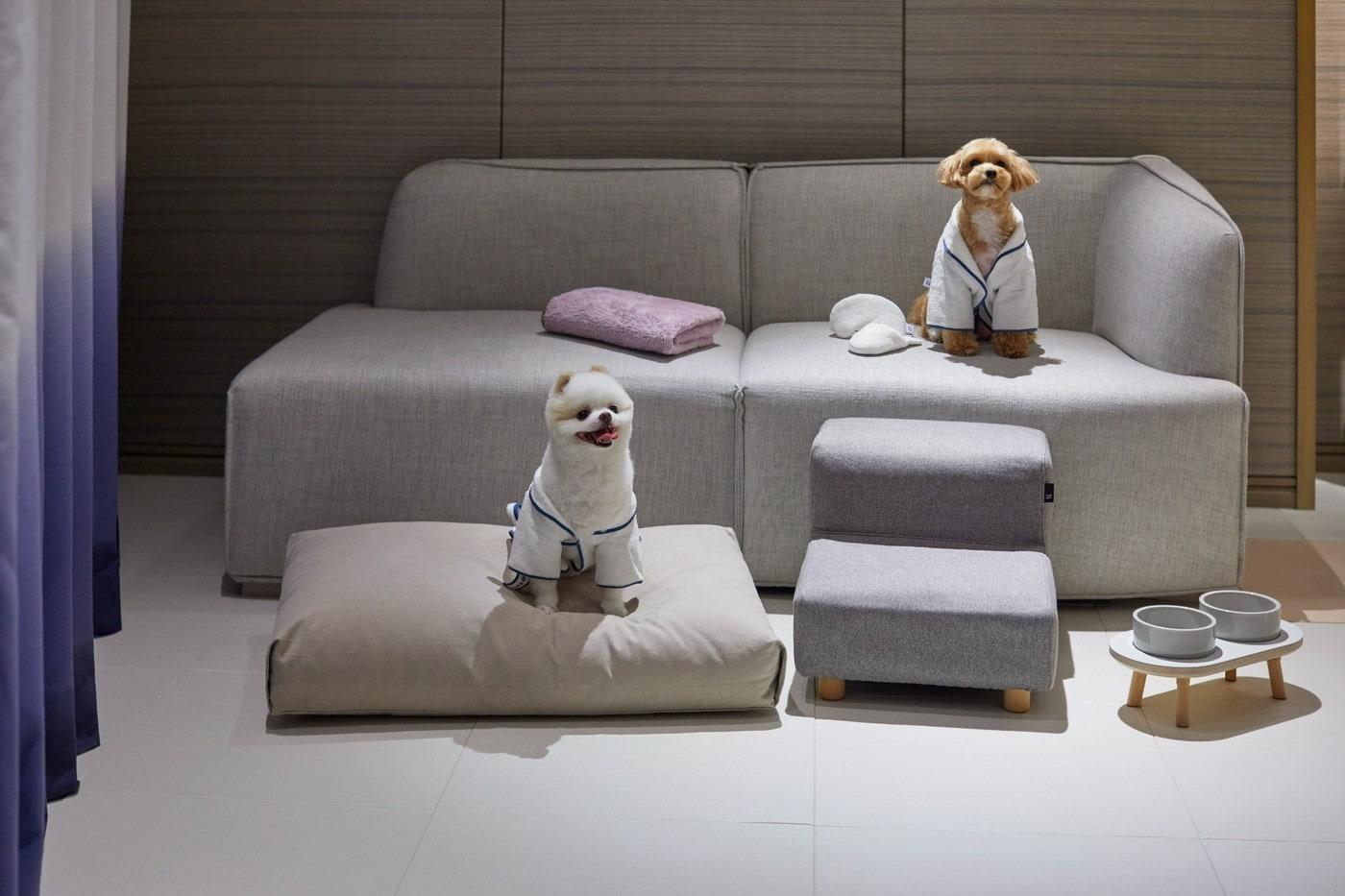 (시그니엘 부산 제공)