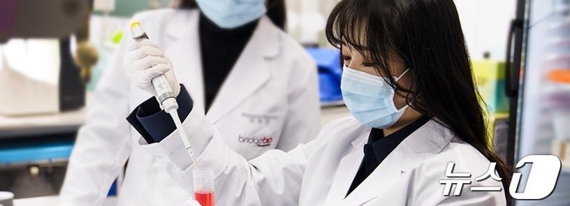 본문 이미지 - 브릿지바이오테라퓨틱스 연구원이 약물 분석을 하고 있다.(브릿지바이오 제공)/뉴스1 ⓒ News1