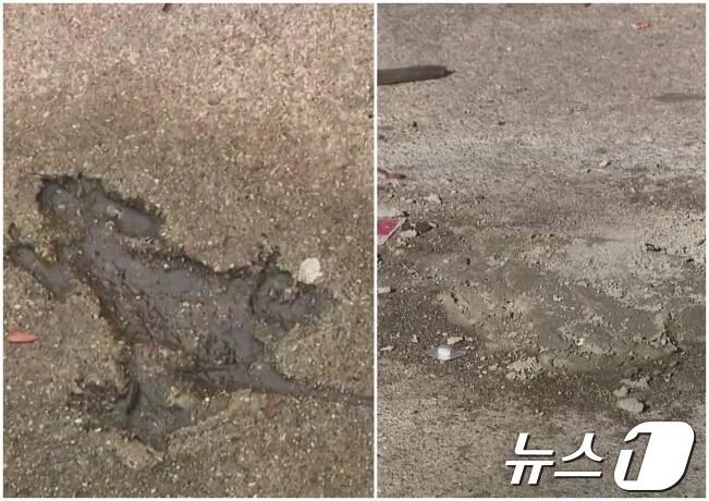 본문 이미지 - 지난 1월 전세계 명성을 얻었던 쥐 모양 팟홀 이른바 &#39;시카고 쥐구멍&#39;이 최근 시당국에 의해 철거됐다. 앞서 지난달 메워진 보도블록이 손상됐다는 판단에 따른 것으로, 어디에 최종 보관할 지는 정해지지 않았다. 3개월 여 반짝 유명세가 저물었다. 사진은 시카고 쥐구멍 메워지기 전&#40;왼쪽&#41;과 메워진 후 모습. &#40;출처 : WGNTV&#41;