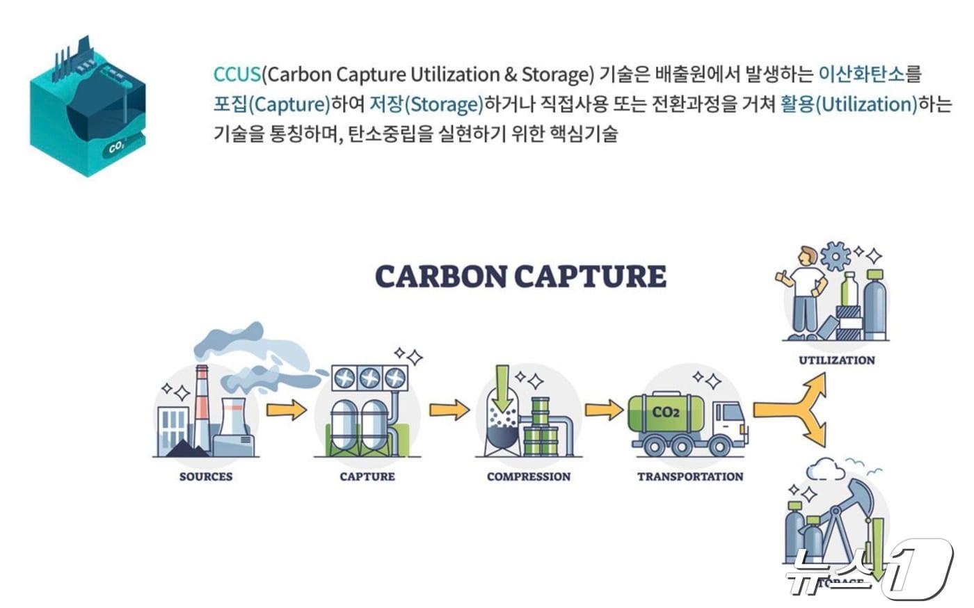본문 이미지 - 탄소 포집·저장·활용(CCUS) 모식도(한국CCUS 추진단 제공) ⓒ 뉴스1