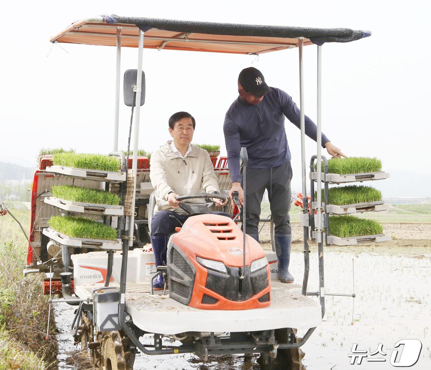 본문 이미지 -  26일 조길형 충북 충주시장이 주덕읍 화곡리 서강석 씨 논에서 이앙기를 직접 몰며 올해 첫 모내기를 하고 있다.(충주시 제공)2024.4.26/뉴스1