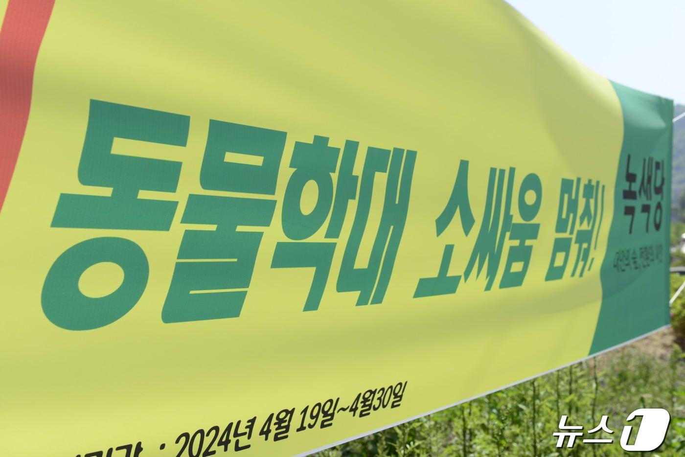 지난해 녹색당 대구시당은 달성군 소 힘겨루기 대회를 중단하는 현수막을 걸고 시위를 이어나갔다. &#40;뉴스1 자료&#41; ⓒ News1 DB