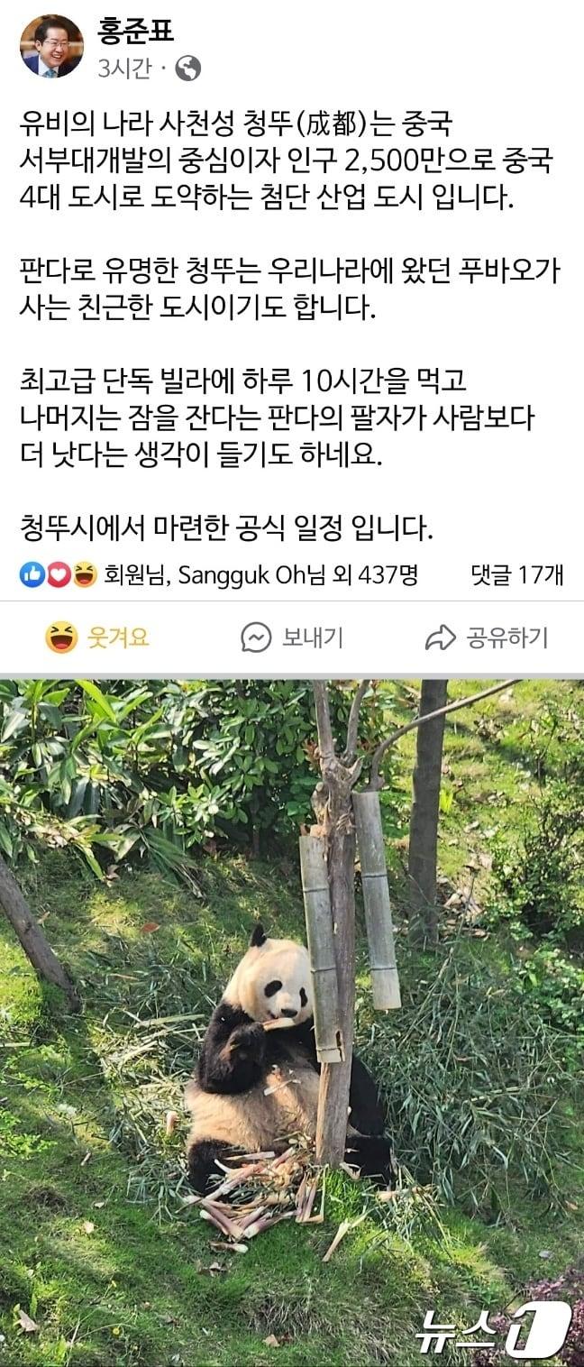 본문 이미지 - 중국 청두시를 방문한 홍준표 대구시장이 푸바오를 언급하며 청두를 치켜세웠다. (홍준표 시장 페이스북 갈무리)/뉴스1