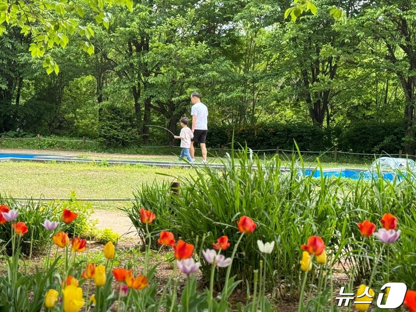 본문 이미지 - 28일 인천시 남동구 인천대공원에서 시민들이 나들이를 즐기고 있다.2024.4.28/뉴스1 ⓒ News1 박소영 기자