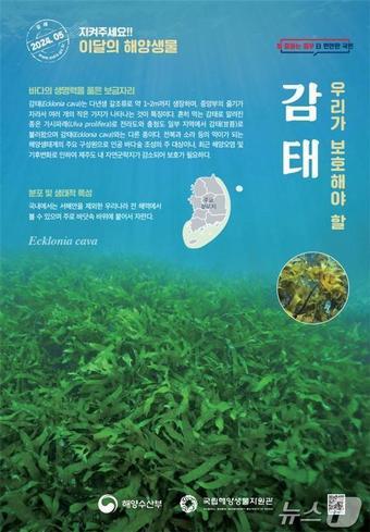 본문 이미지 - (해양수산부 제공)