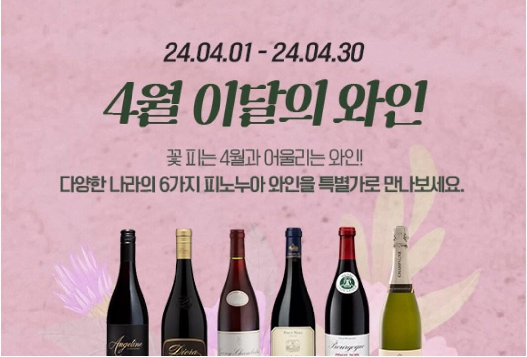 본문 이미지 - (아영FBC 제공)