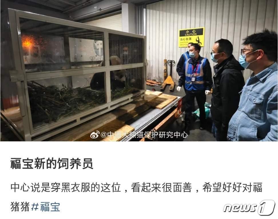 본문 이미지 - 검정색 옷을 입은 사람이 푸바오의 새로운 사육사로 추정된다. (샤오훙슈 갈무리)