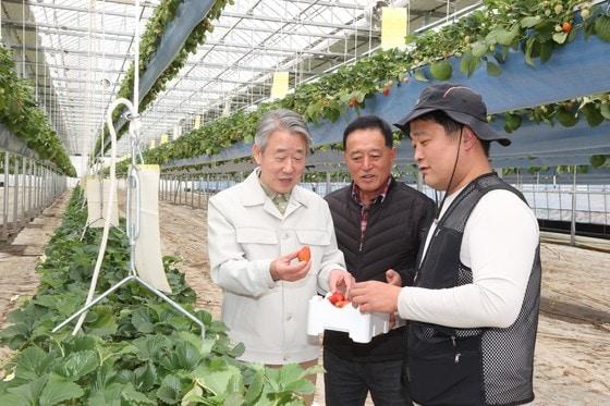 본문 이미지 - 청년농업인 자료사진(사진은 기사와 무관함)/뉴스1