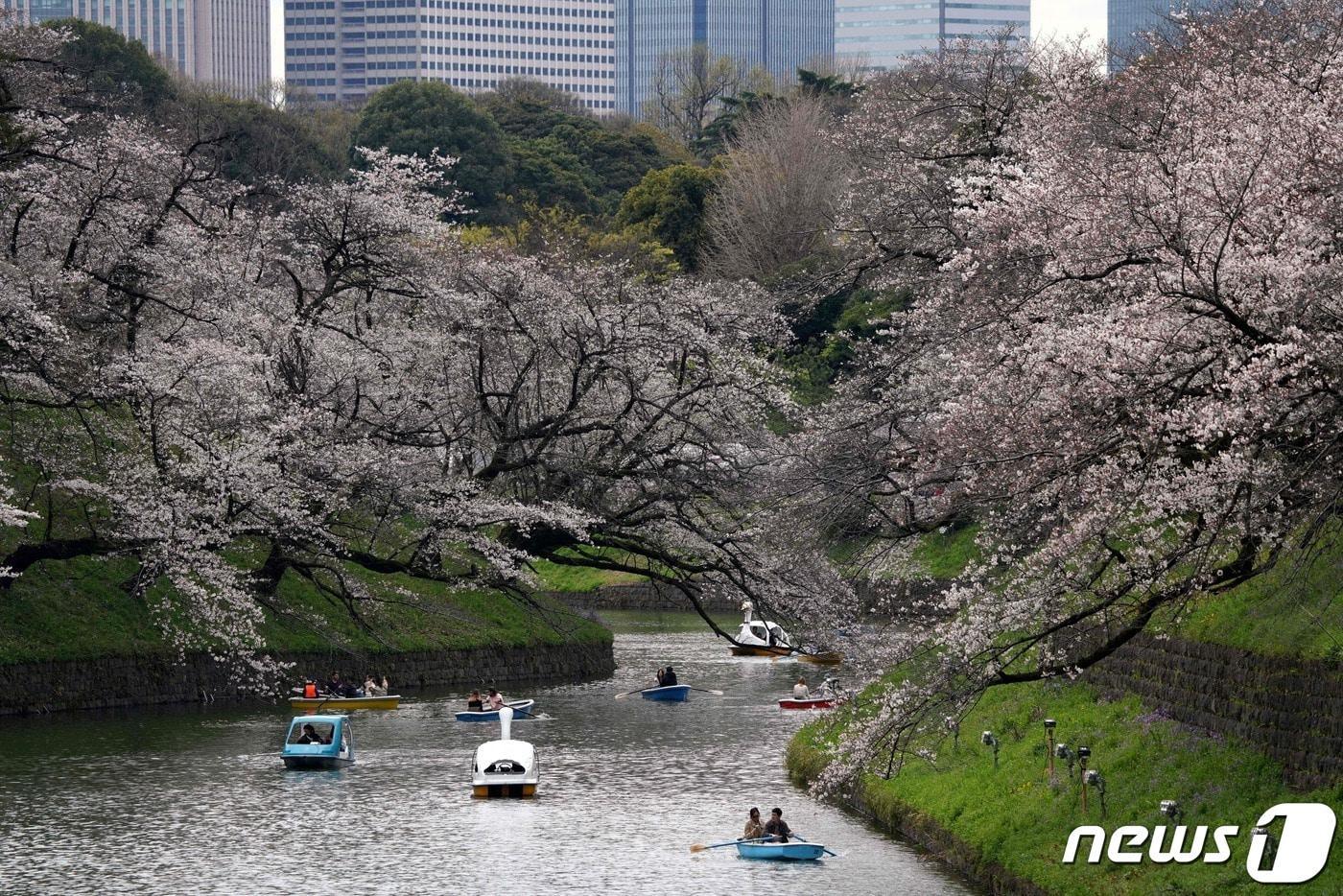 일본 도쿄에서 외국인 관광객들이 보트에 올라타 벚꽃을 구경하고 있는 모습. 2024.04.04. ⓒ AFP=뉴스1 ⓒ News1 정윤영 기자