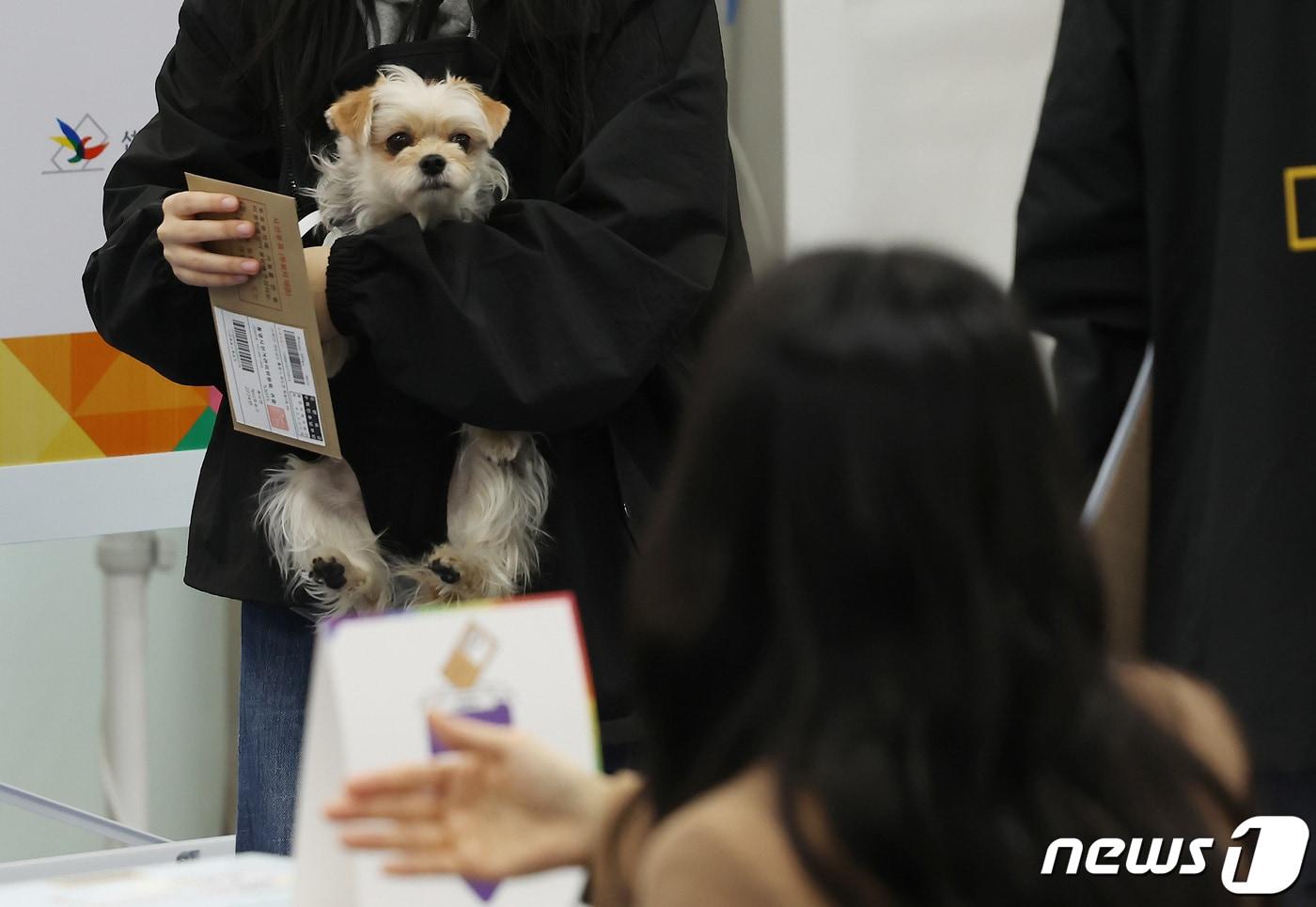 강아지를 안고 투표하는 유권자의 모습(사진은 기사 내용과 무관함) 2024.4.5/뉴스1 ⓒ News1 김민지 기자
