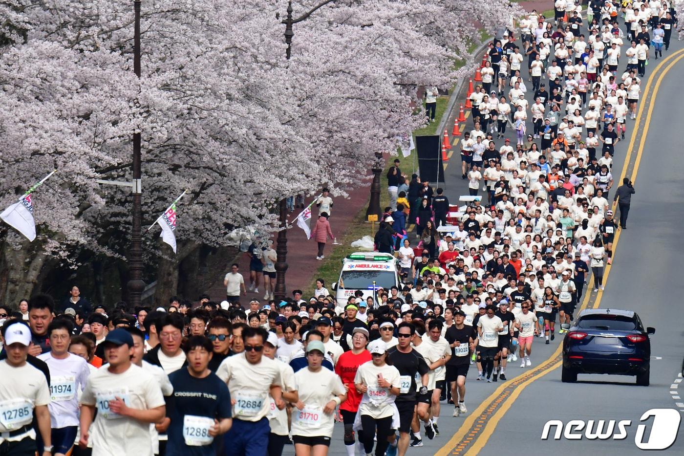 본문 이미지 - 제31회 경주벚꽃마라톤대회 모습. (뉴스 1자료, 재판매 및 DB금지) ⓒ 뉴스1 최창호 기자
