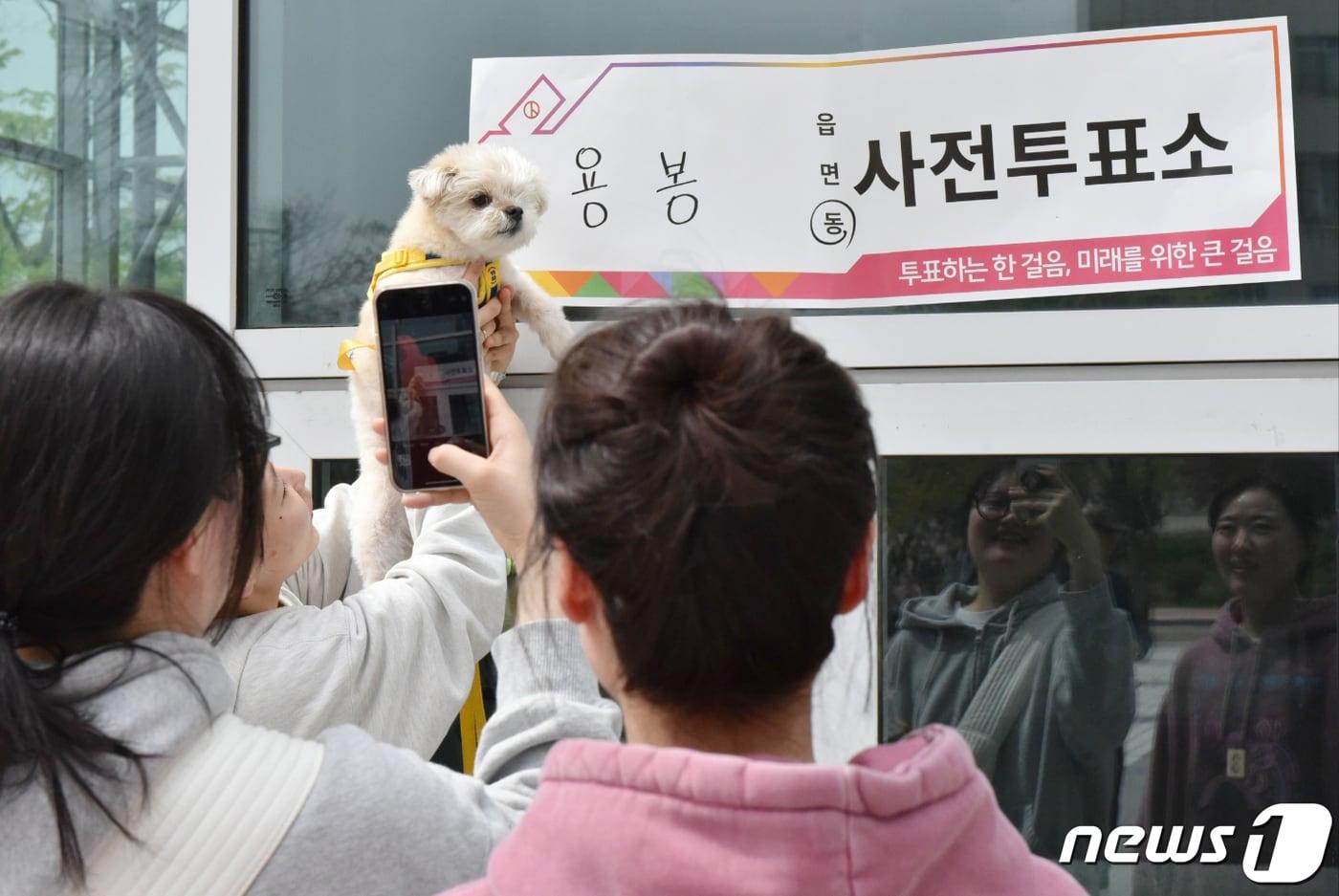 본문 이미지 - 22대 국회의원 선거 사전 투표 둘째 날인 6일 오후 광주 북구 용봉동 사전투표소에서 유권자들이 반려견과 기념사진을 찍고 있다. 2024.4.6/뉴스1 ⓒ News1 김동수 기자