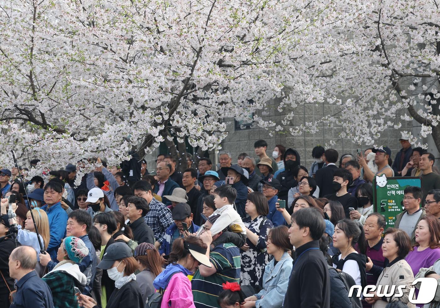 본문 이미지 - 시민들이 6일 경기 양평군 양평실내탁구장 인근 주차장에서 유세를 지켜보고 있다. 2024.4.6/뉴스1 ⓒ News1 송원영 기자
