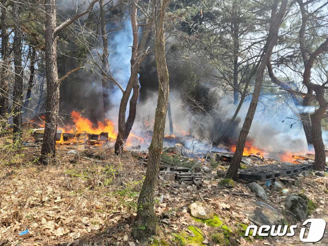 본문 이미지 - 7일 오전 10시 54분쯤 충북 제천시 청풍면 교리 한 야산에서 산불이 나 40여분만에 꺼졌다. (제천소방서 제공) /뉴스1