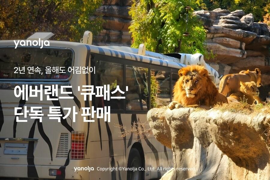 본문 이미지 - 에버랜드 우선 탑승권 큐패스 단독 특가 판매 이미지(야놀자 제공)