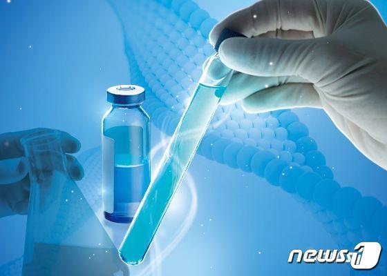 본문 이미지 - ⓒ News1