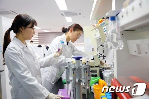 본문 이미지 - 에이치엘비 연구원이 후보물질 분석을 하고 있다.(에이치엘비 제공)/뉴스1 ⓒ News1