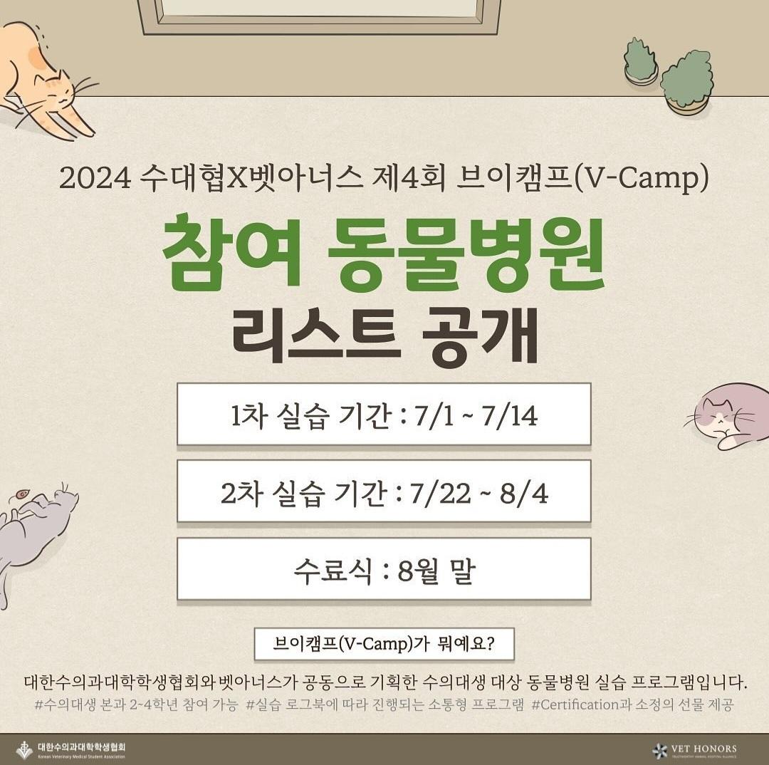 본문 이미지 - 브이캠프 실습생 모집 포스터 ⓒ 뉴스1