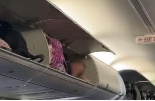 본문 이미지 - (틱톡 갈무리)