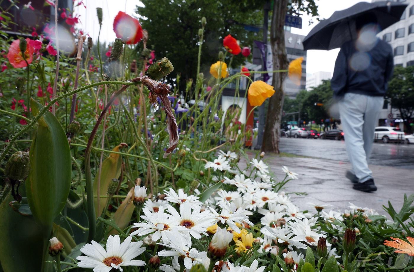 봄철 산불 발생에 유리한 영향을 주는 건조한 대기의 기세가 12~13일 내린 비로 한풀 꺾였다. 뉴스1 ⓒ News1 자료 사진