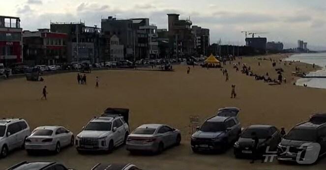 본문 이미지 - 11일 오후 강원 강릉커피거리 주변. (강릉시 실시간 유튜브 캡처) 2024.5.11/뉴스1