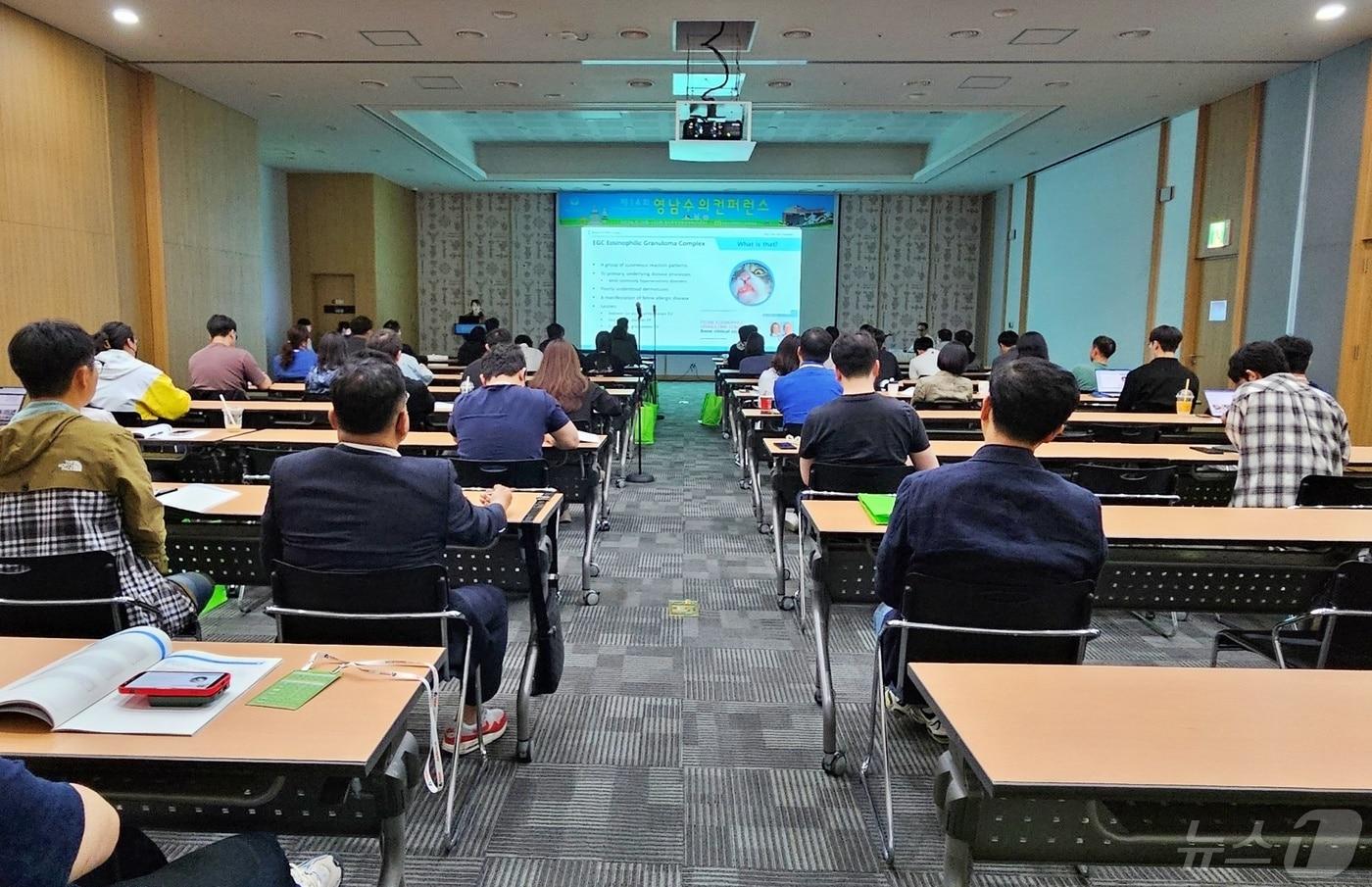 이기쁨 고려동물메디컬센터 고양이병원 원장이 12일 경주화백컨벤션센터에서 열린 '제14회 영남수의콘퍼런스'에서 강의를 하고 있다. ⓒ 뉴스1 최서윤 기자