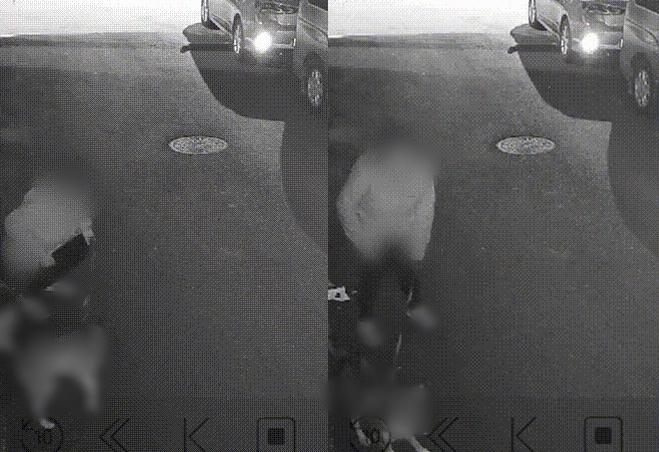 본문 이미지 - (보배드림 갈무리)