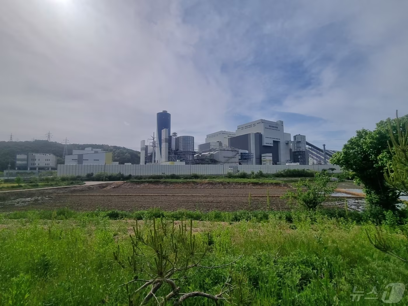 본문 이미지 - 최근 전력 생산 가동을 중단한 강원 강릉시 안인화력발전소(강릉에코파워) 2024.5.13/뉴스1 윤왕근 기자