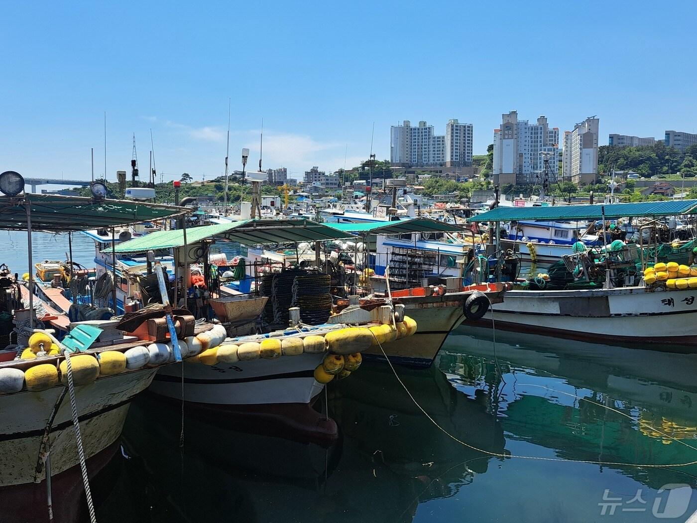 본문 이미지 - 경남 통영시 견유항에 정박된 어선들.2024.5.13/뉴스1 강미영기자