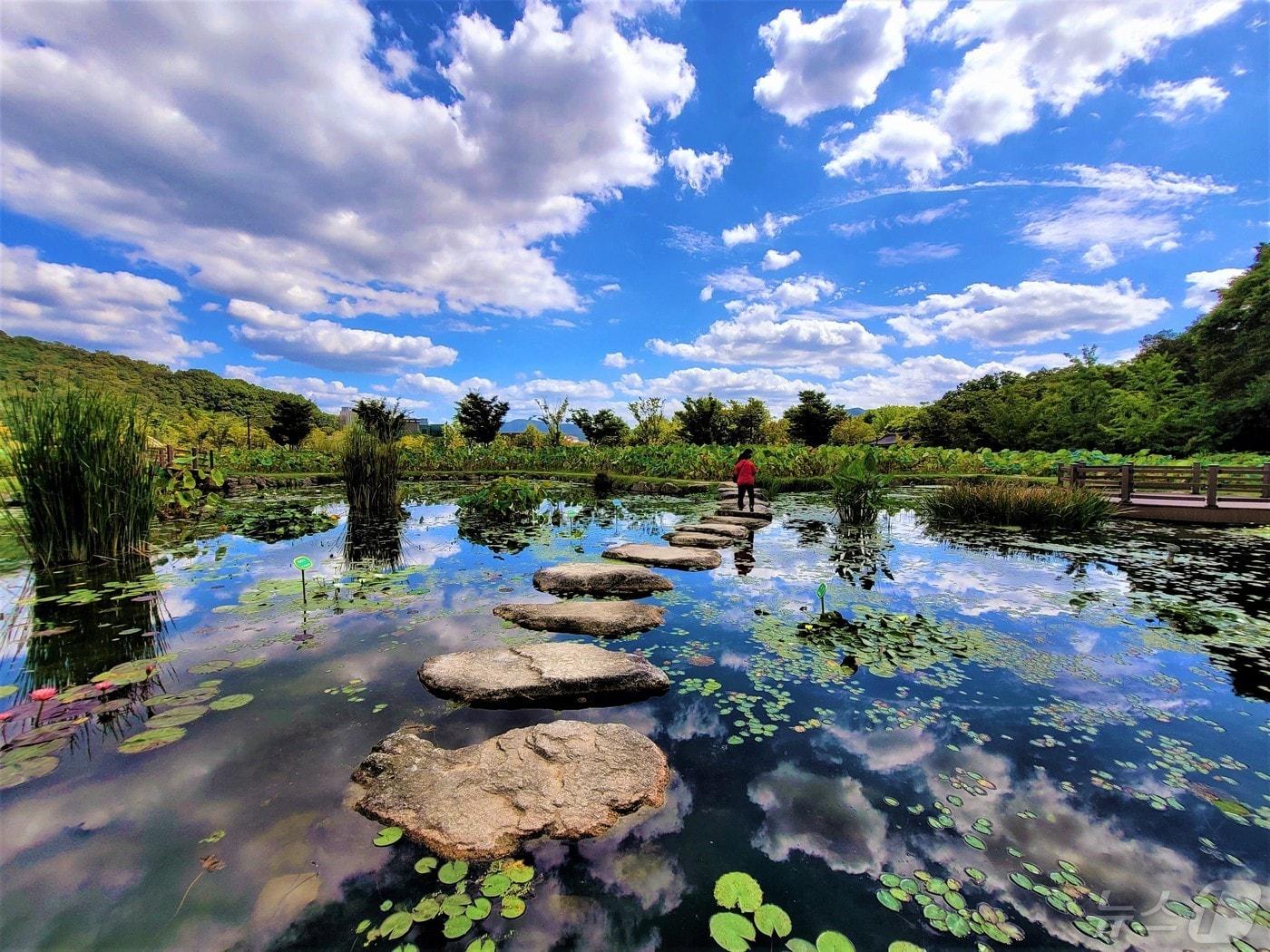 본문 이미지 - 함양 상림공원(함양군 제공).