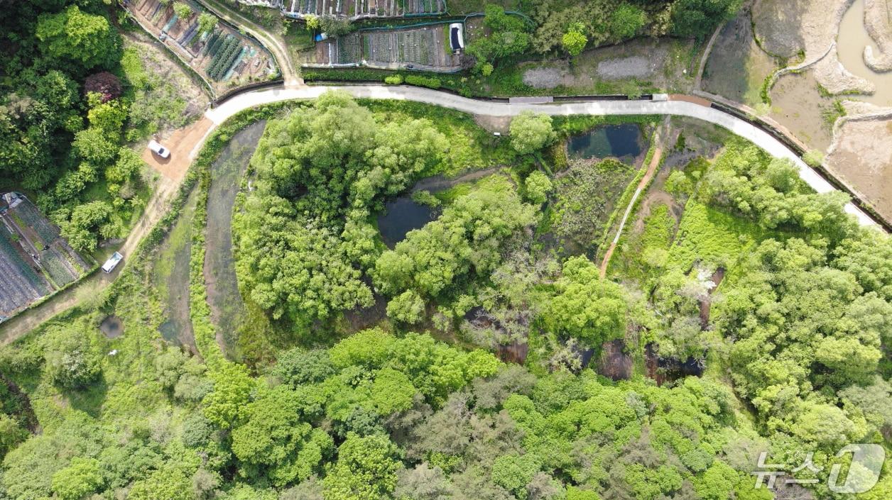 본문 이미지 - 람사르습지에 등록된 무등산 평두메습지 전경.&#40;광주시 제공&#41;2024.5.13/뉴스1 ⓒ News1 박준배 기자