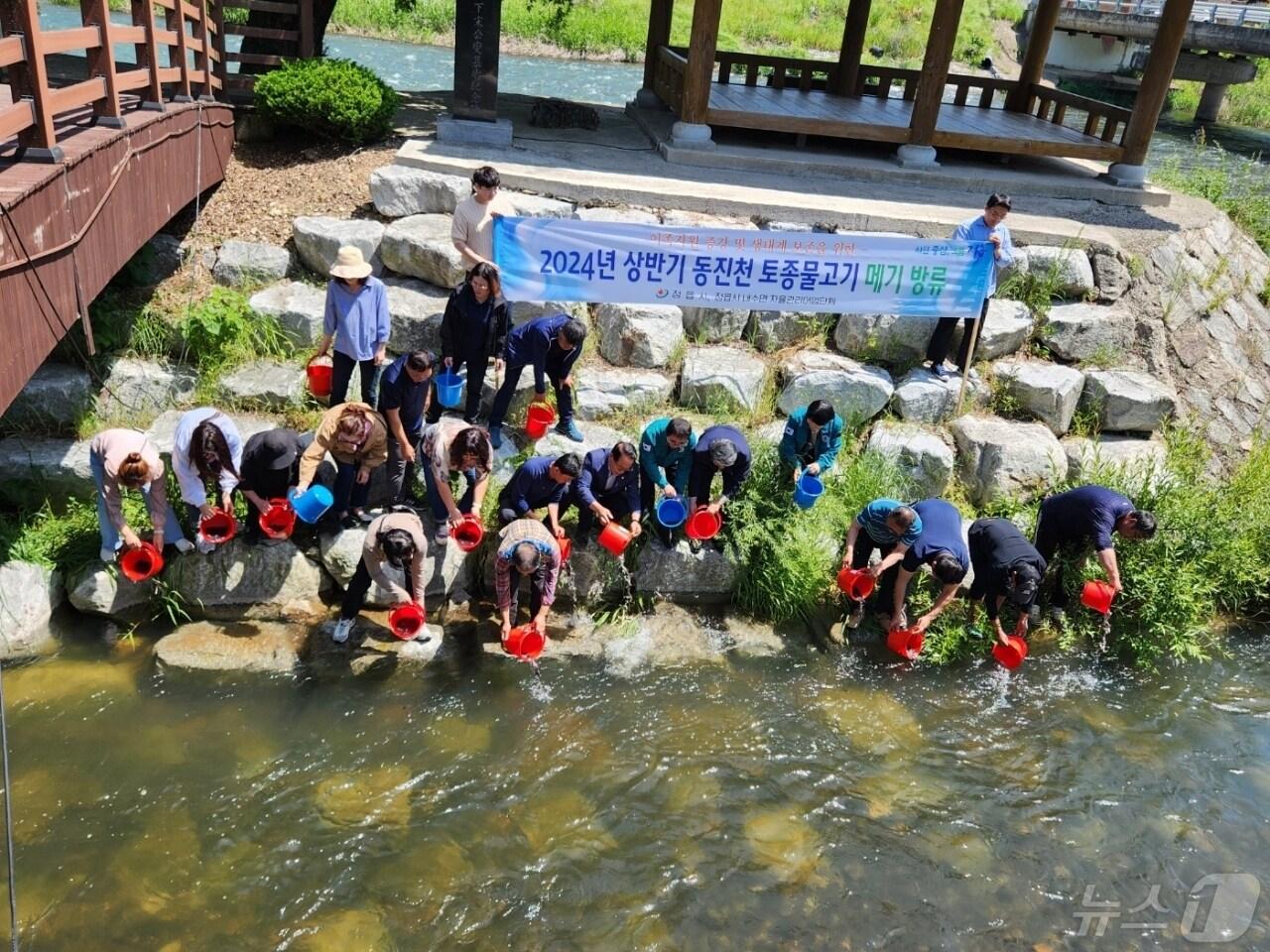 본문 이미지 - 정읍시가 14일 동진천 태인·옹동·칠보면 수계에서 어린 메기 35만 마리를 방류했다.(정읍시 제공)2024.5.14/뉴스1