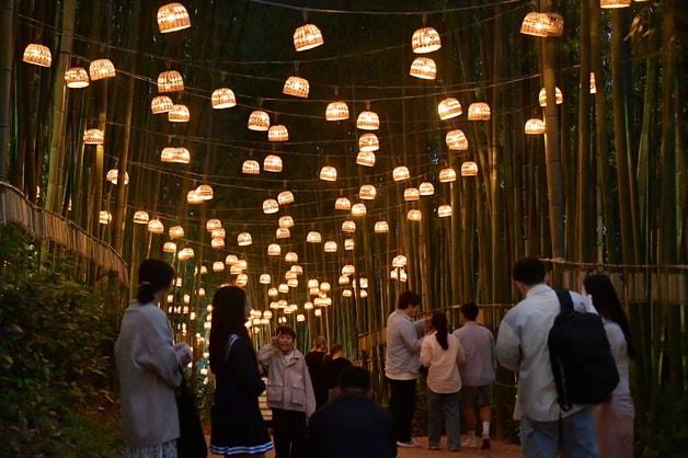 본문 이미지 - 전남 담양 대나무축제 기간 동안 죽녹원 야경.(담양군 제공)2024.5.16. ⓒ 뉴스1