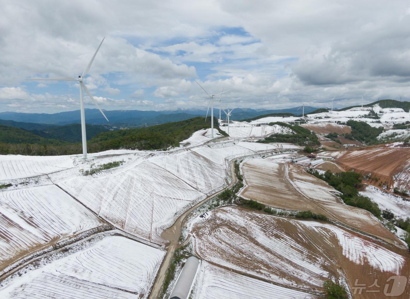 본문 이미지 - 강릉 안반데기에 내린 눈.(뉴스1 DB) ⓒ News1 이재명 기자