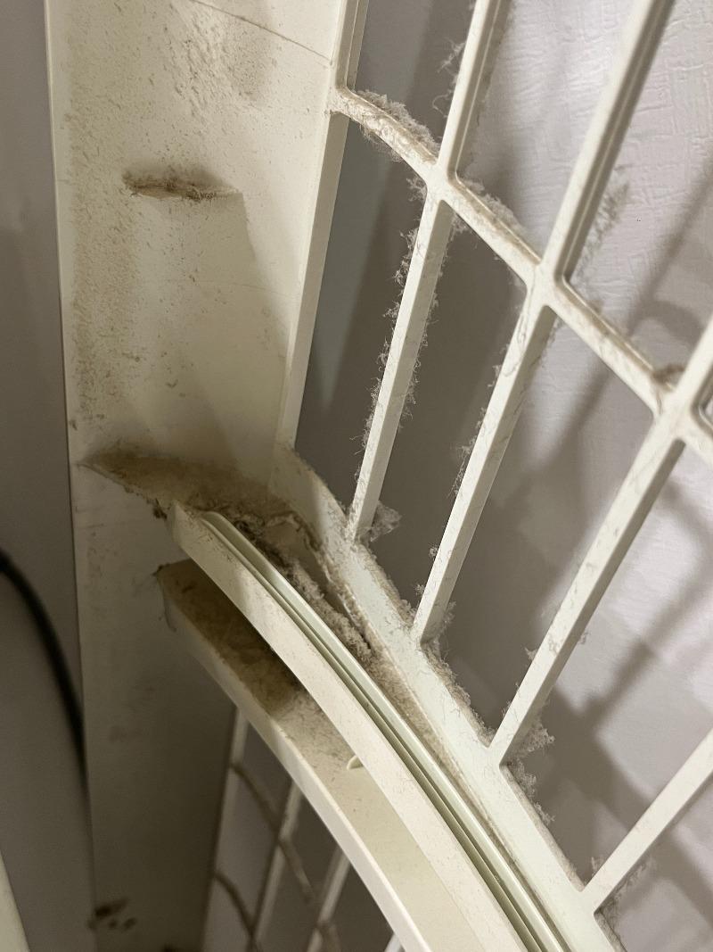 본문 이미지 - 온라인 커뮤니티 '보배드림'