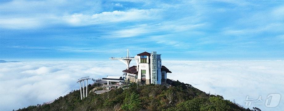 본문 이미지 - 발왕산 관광케이블카(용평리조트 제공)