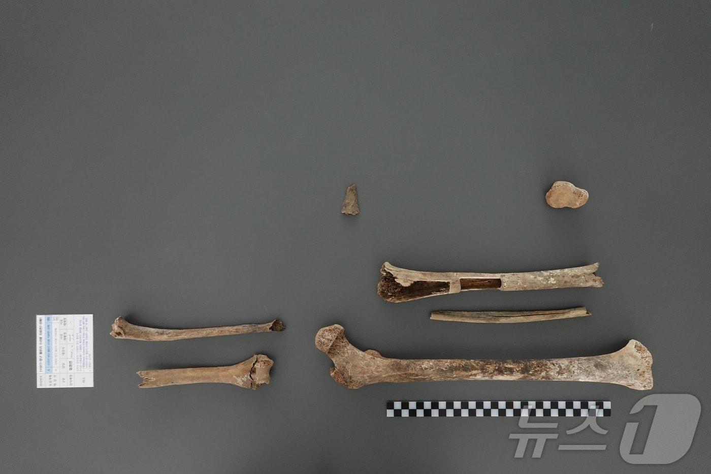 본문 이미지 - 고(故) 류홍석 일병의 유해.(국방부 유해발굴감식단 제공)