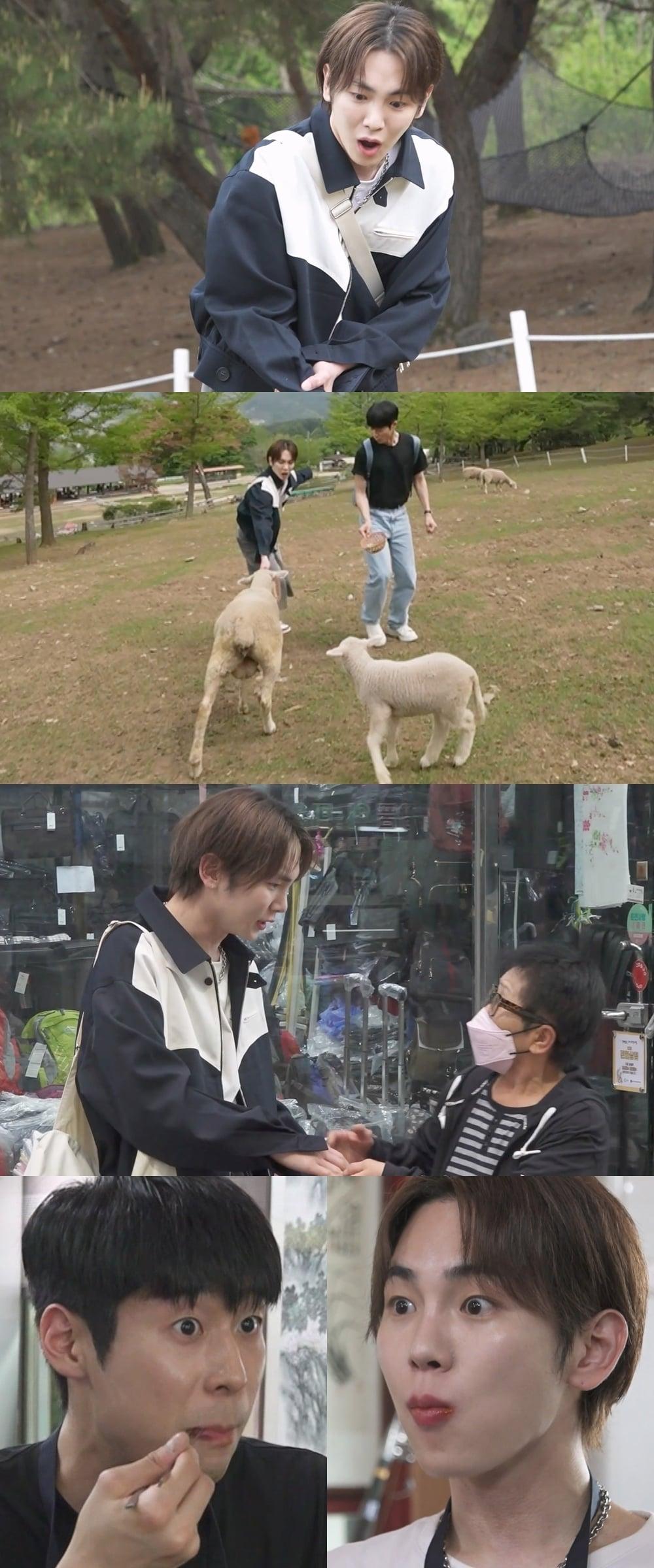 본문 이미지 - MBC