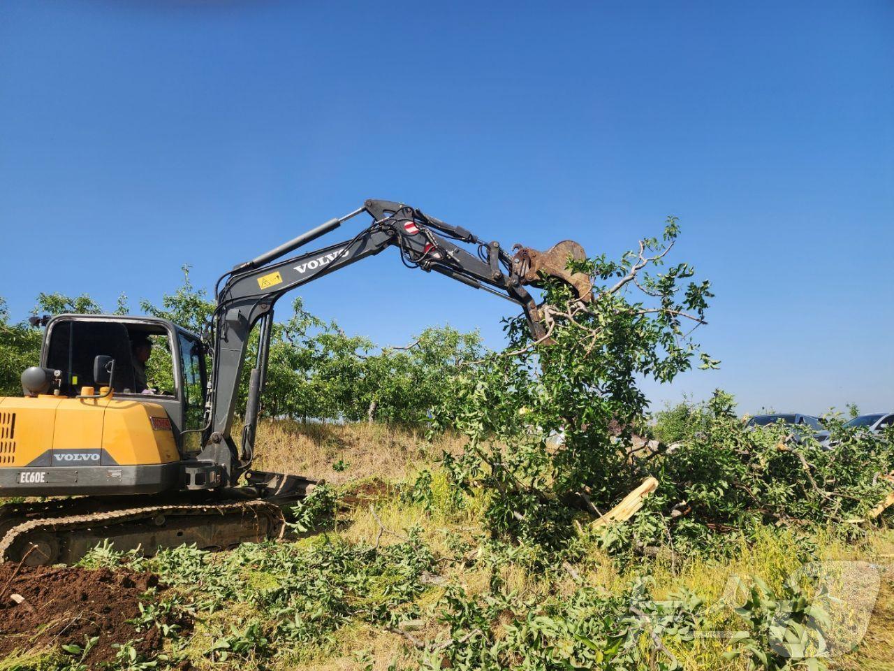 본문 이미지 -  17일 충북 도내 과수화상병이 첫 발생 나흘 만에 11건(4㏊)으로 늘었다. 사진은 과원 매몰 모습.(충주시 제공)2024.5.17/뉴스1