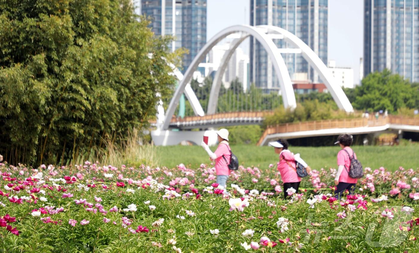 울산태화강 국가정원 자료사진./뉴스1 ⓒ News1 김지혜 기자